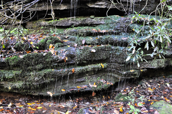 water dripping down ledges